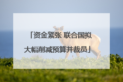 资金紧张 联合国拟大幅削减预算并裁员