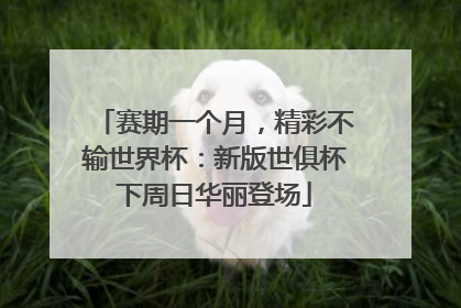 赛期一个月，精彩不输世界杯：新版世俱杯下周日华丽登场