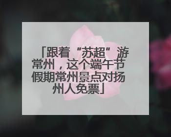 跟着“苏超”游常州，这个端午节假期常州景点对扬州人免票