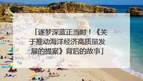 逐梦深蓝正当时！《关于推动海洋经济高质量发展的提案》背后的故事