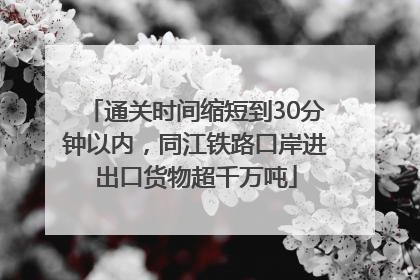 通关时间缩短到30分钟以内，同江铁路口岸进出口货物超千万吨