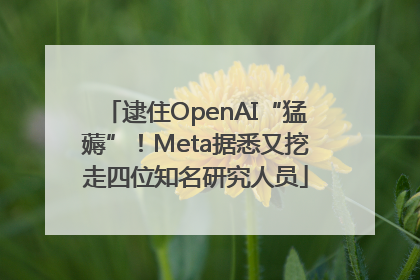 逮住OpenAI“猛薅”！Meta据悉又挖走四位知名研究人员