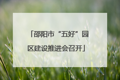 邵阳市“五好”园区建设推进会召开