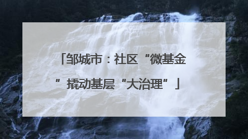 邹城市：社区“微基金”撬动基层“大治理”