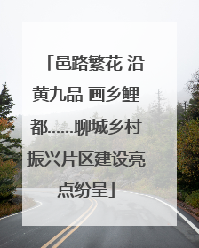 邑路繁花 沿黄九品 画乡鲤都……聊城乡村振兴片区建设亮点纷呈