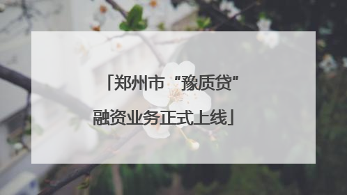 郑州市“豫质贷”融资业务正式上线