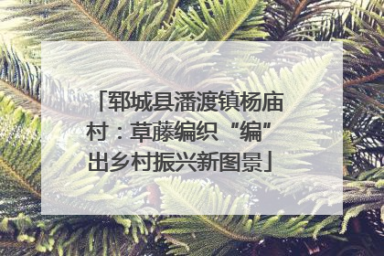 郓城县潘渡镇杨庙村：草藤编织“编”出乡村振兴新图景