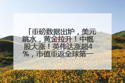 重磅数据出炉，美元跳水，黄金拉升！中概股大涨！英伟达涨超4%，市值重返全球第一！黄仁勋计划出售至多600万股股票