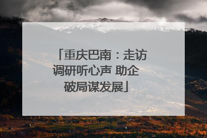 重庆巴南：走访调研听心声 助企破局谋发展