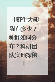 野生大熊猫有多少？种群如何分布？科研团队实地探秘