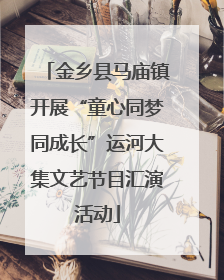 金乡县马庙镇开展“童心同梦同成长”运河大集文艺节目汇演活动