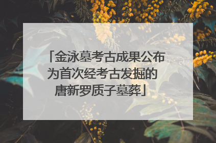 金泳墓考古成果公布 为首次经考古发掘的唐新罗质子墓葬