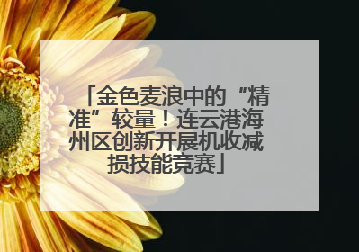 金色麦浪中的“精准”较量！连云港海州区创新开展机收减损技能竞赛