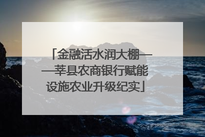 金融活水润大棚——莘县农商银行赋能设施农业升级纪实