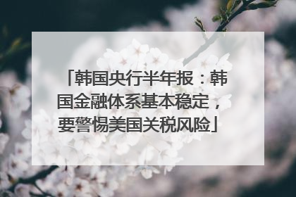 韩国央行半年报：韩国金融体系基本稳定，要警惕美国关税风险