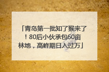青岛第一批知了猴来了！80后小伙承包60亩林地，高峰期日入过万