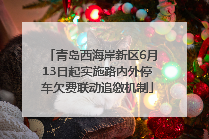 青岛西海岸新区6月13日起实施路内外停车欠费联动追缴机制