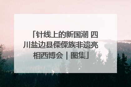 针线上的新国潮 四川盐边县傈僳族非遗亮相西博会｜图集
