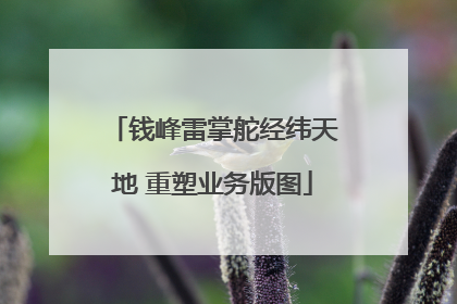 钱峰雷掌舵经纬天地 重塑业务版图