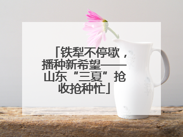 铁犁不停歇，播种新希望——山东“三夏”抢收抢种忙
