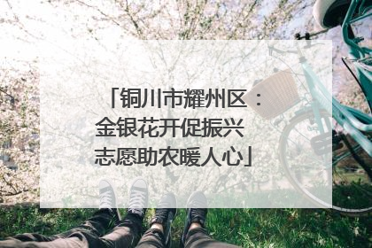 铜川市耀州区：金银花开促振兴 志愿助农暖人心