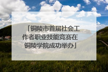 铜陵市首届社会工作者职业技能竞赛在铜陵学院成功举办