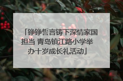 铮铮誓言铸下深情家国担当 青岛镇江路小学举办十岁成长礼活动