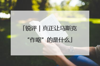 锐评｜真正让马斯克“作呕”的是什么
