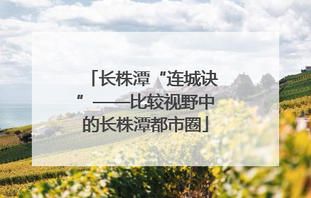 长株潭“连城诀”——比较视野中的长株潭都市圈