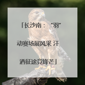 长沙南：“羽”动赛场展风采 汗洒征途竞锋芒