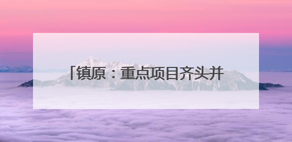镇原：重点项目齐头并进 夏季施工热潮涌动
