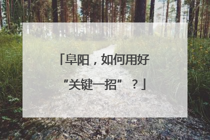 阜阳，如何用好“关键一招”？
