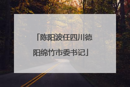 陈阳波任四川德阳绵竹市委书记
