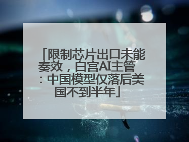 限制芯片出口未能奏效，白宫AI主管：中国模型仅落后美国不到半年