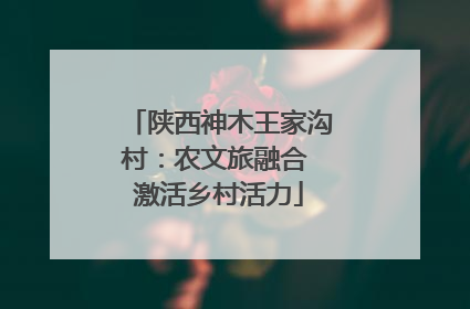 陕西神木王家沟村：农文旅融合 激活乡村活力