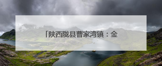 陕西陇县曹家湾镇：金色麦田里的“志愿红”