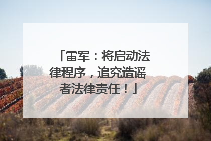 雷军：将启动法律程序，追究造谣者法律责任！