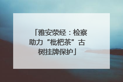 雅安荥经：检察助力“枇杷茶”古树挂牌保护