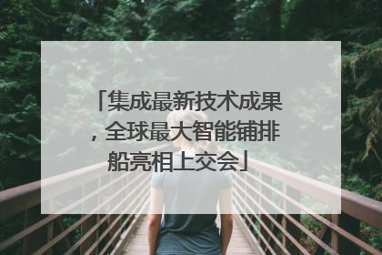 集成最新技术成果，全球最大智能铺排船亮相上交会
