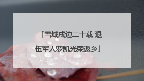 雪域戍边二十载 退伍军人罗凯光荣返乡