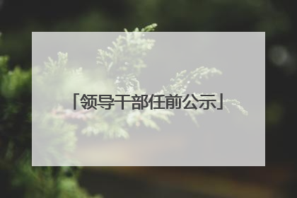 领导干部任前公示