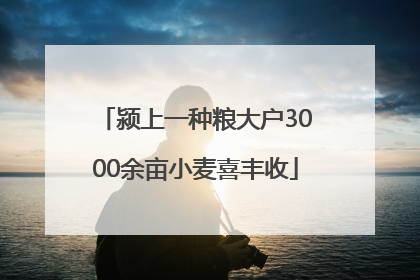 颍上一种粮大户3000余亩小麦喜丰收