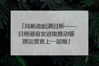 风帆劲起满目新——日照港奋发进取推动管理运营更上一层楼