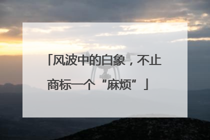 风波中的白象，不止商标一个“麻烦”