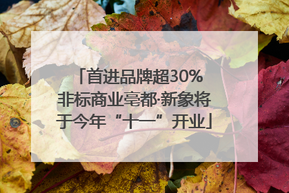 首进品牌超30% 非标商业亳都·新象将于今年“十一”开业