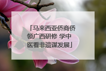 马来西亚侨商侨领广西研修 学中医看非遗谋发展