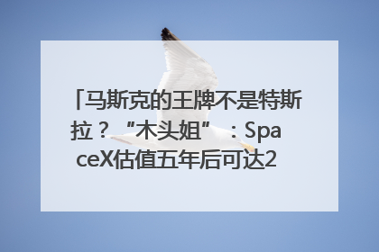 马斯克的王牌不是特斯拉？“木头姐”：SpaceX估值五年后可达2.5万亿美元！