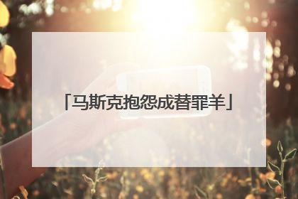 马斯克抱怨成替罪羊