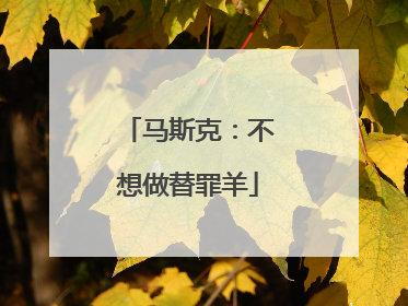 马斯克：不想做替罪羊