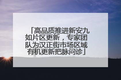 高品质推进新安九如片区更新，专家团队为汉正街市场区域有机更新把脉问诊